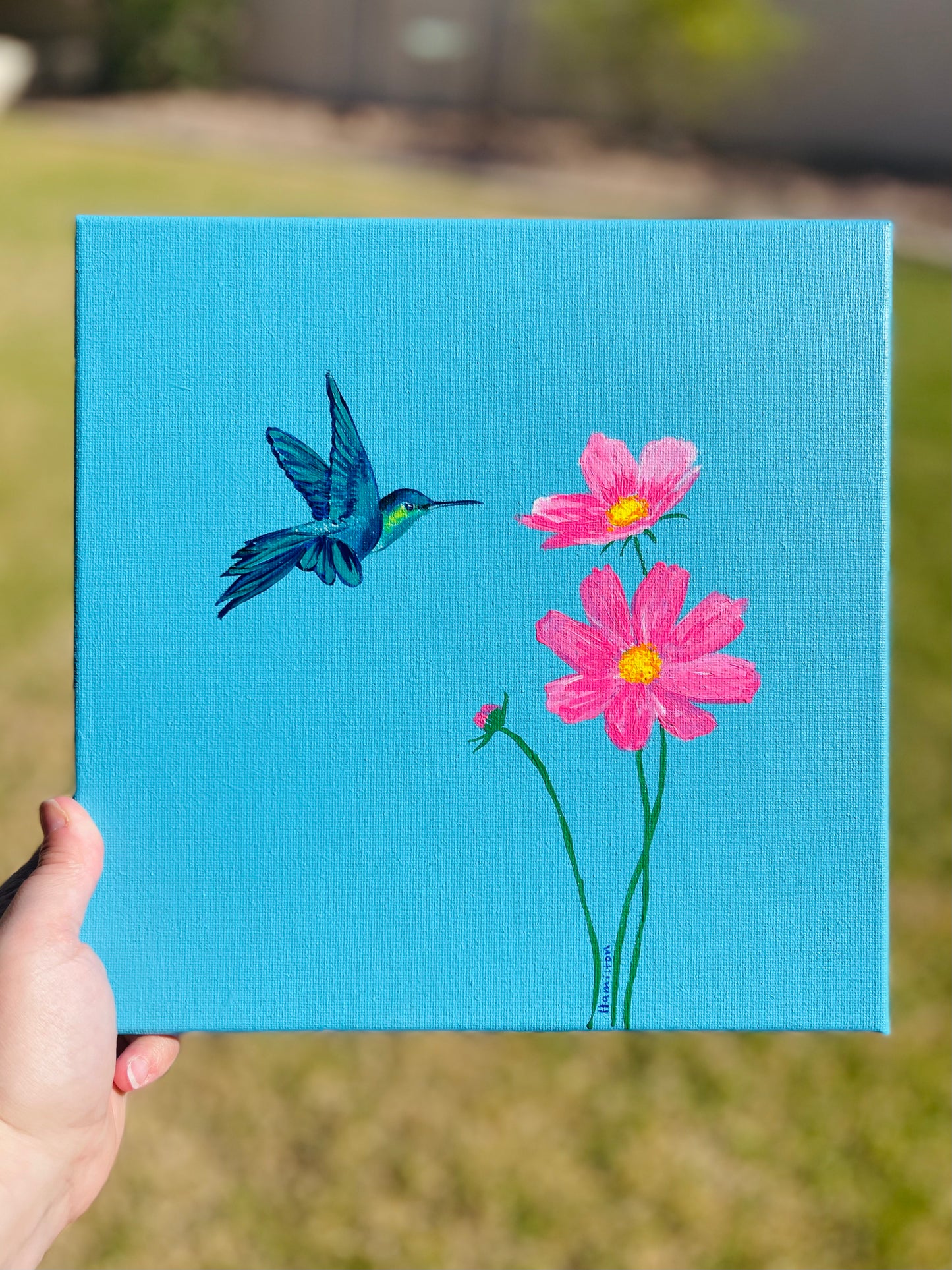 Love Notes: Hummingbird with cosmos