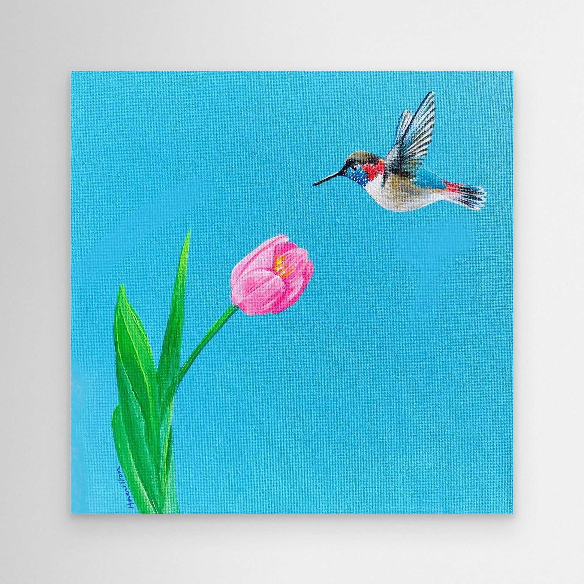 Hummingbird with Tulip