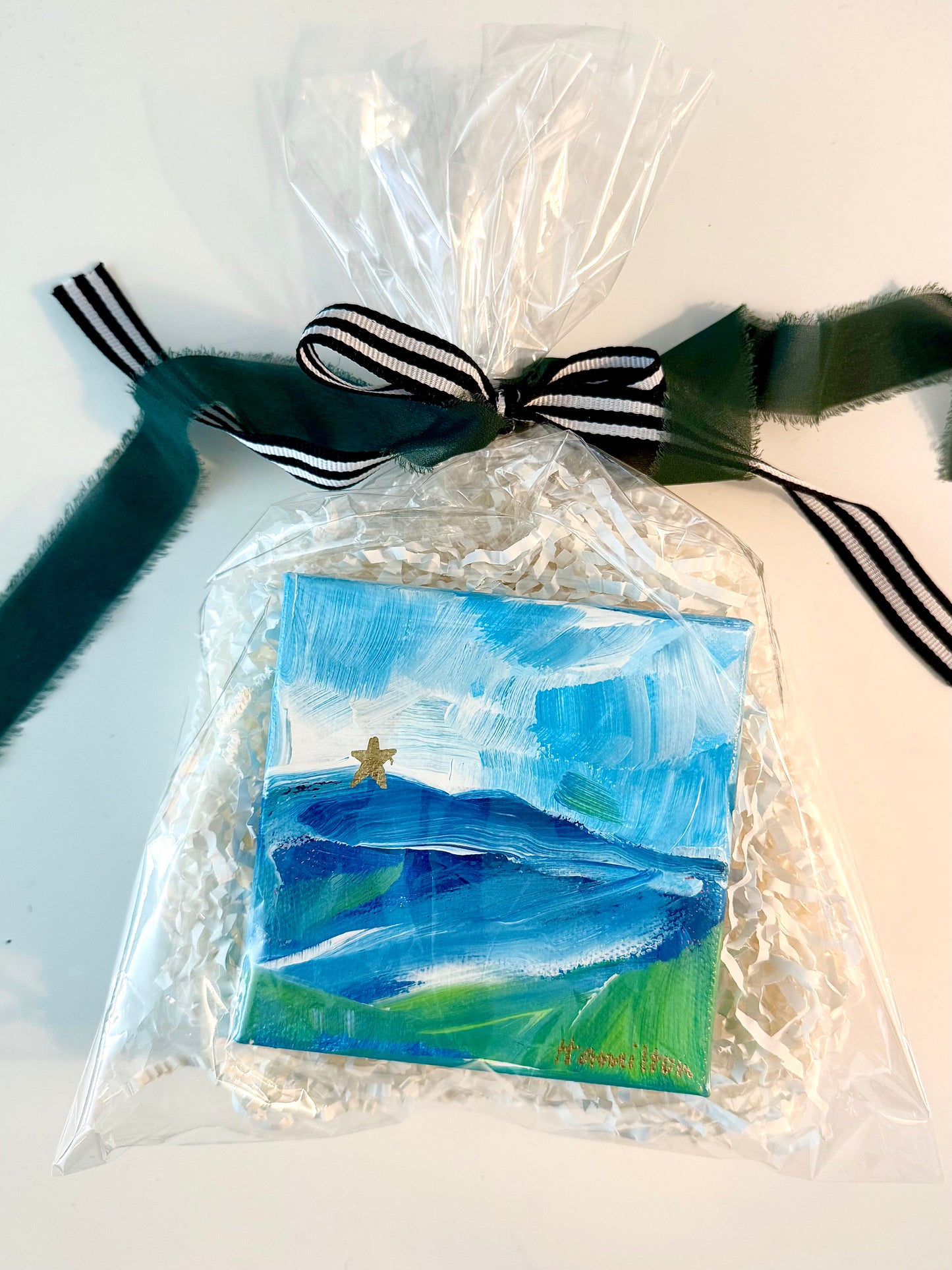 MILL MOUNTAIN STAR #1 (2025)