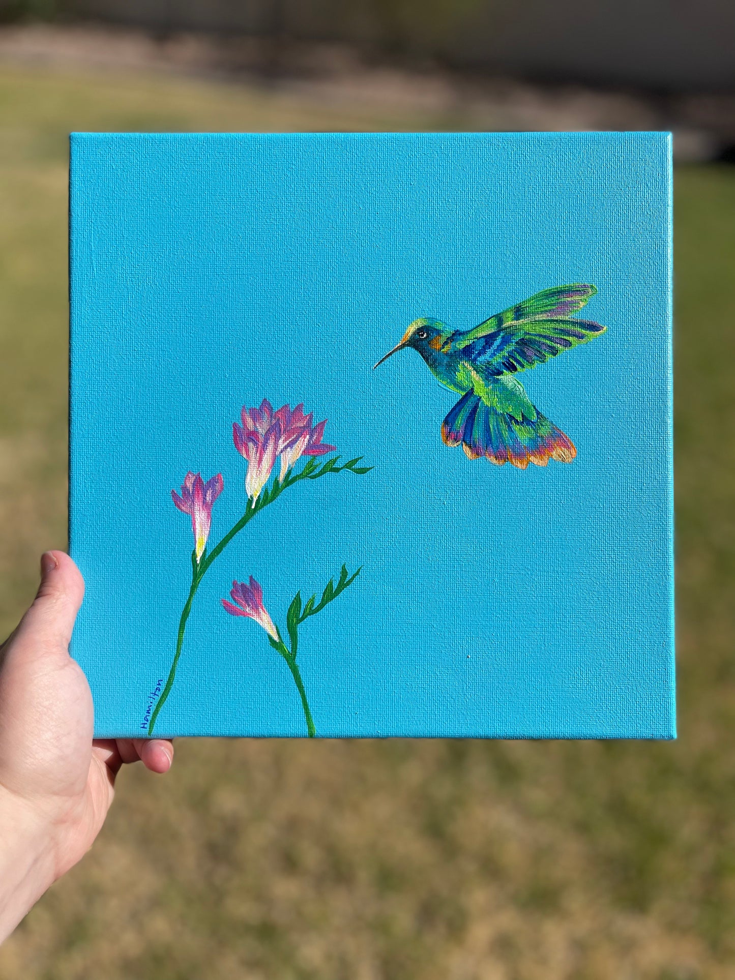 Love Notes: Hummingbird with freesia