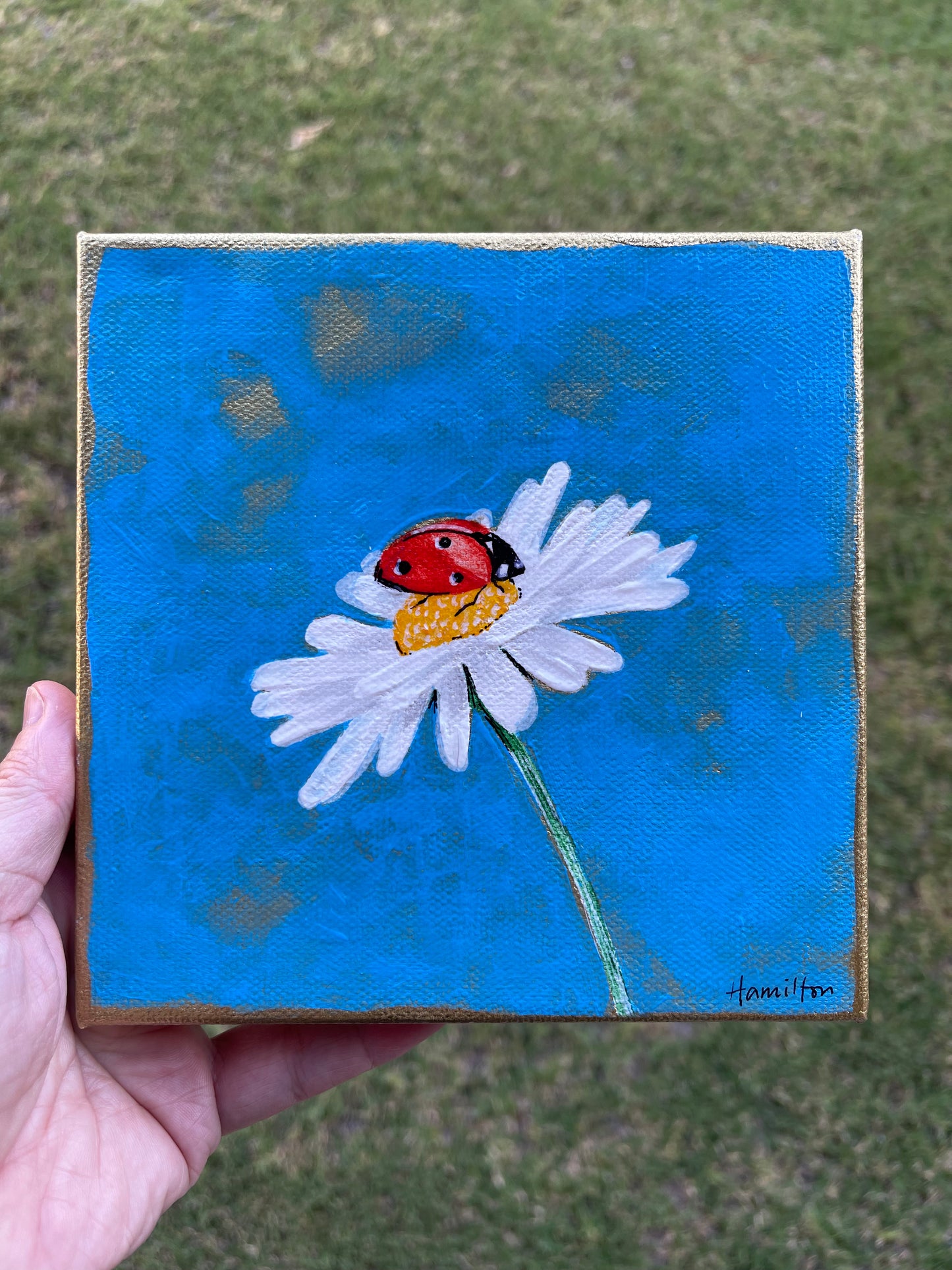 Ladybug with Daisy