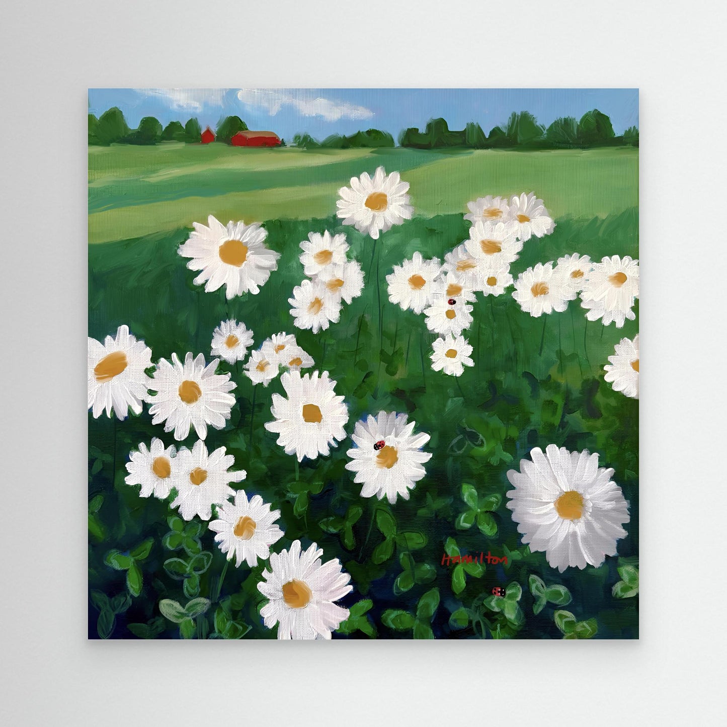 Good Signs - Canvas Print