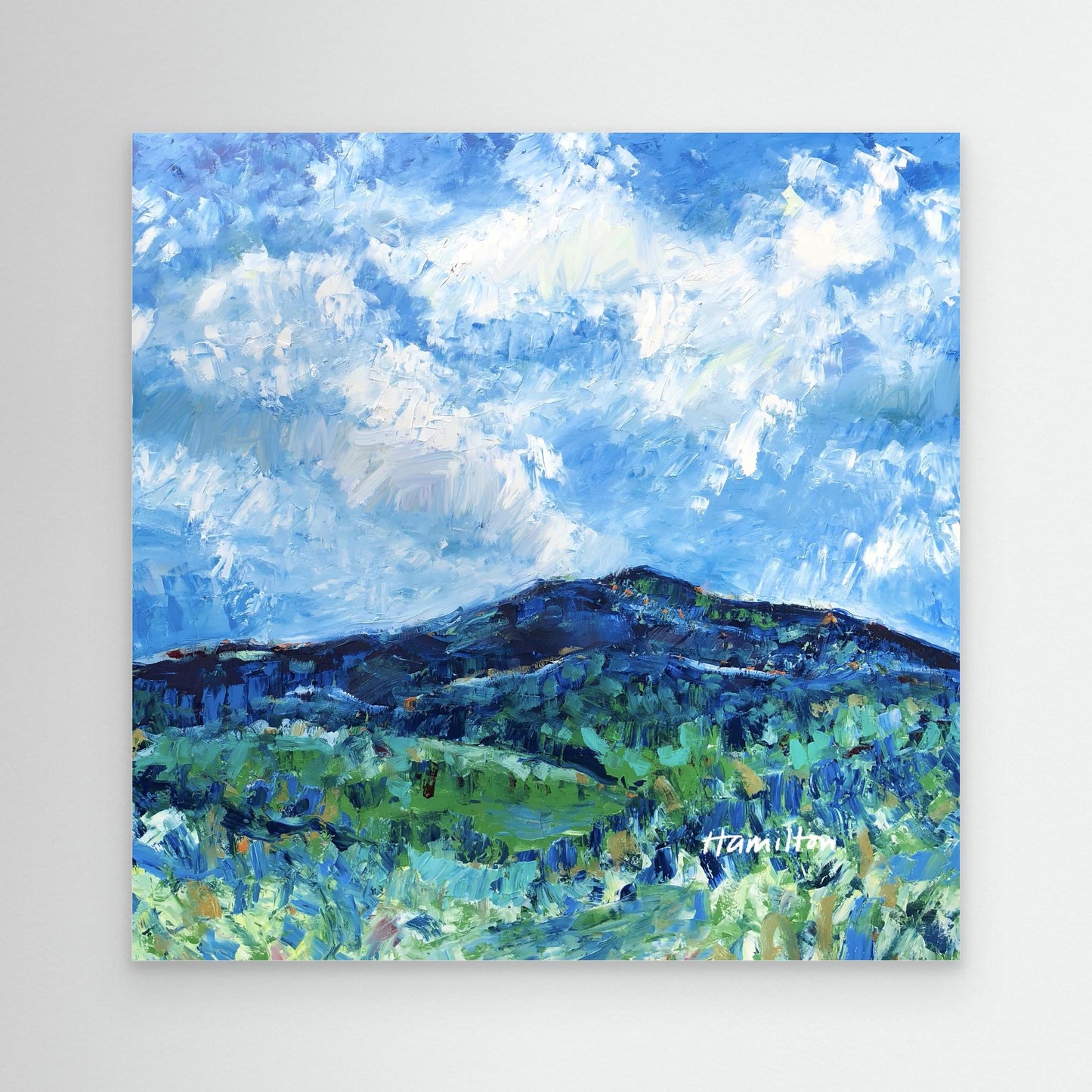 From the Valley - Canvas Print