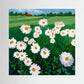 Good Signs - Canvas Print